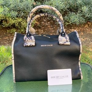 See by Chloe bag